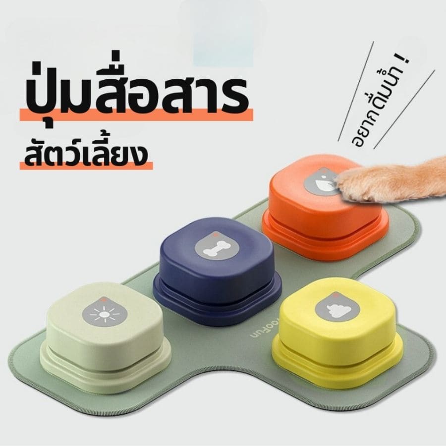 ปุ่มพูดคุยได้ ปุ่มบันทึกเสียง กระดิ่งฝึกสัตว์เลี้ยง ของเล่นฝึกสุนัข