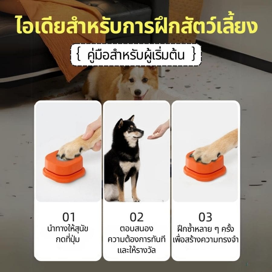 ปุ่มพูดคุยได้ ปุ่มบันทึกเสียง กระดิ่งฝึกสัตว์เลี้ยง ของเล่นฝึกสุนัข