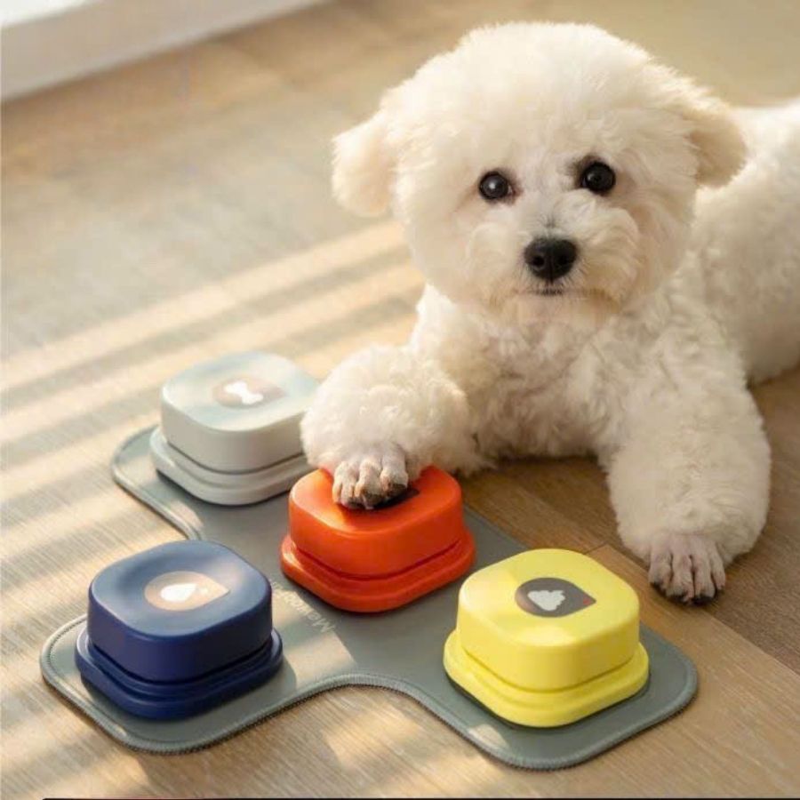 PET